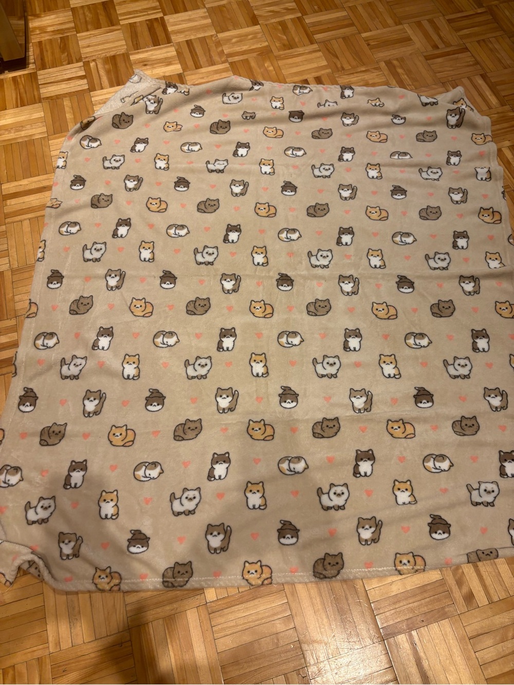 3/15$ Soft Beige Cat Print Pet Blanket - Cozy Kitty Design